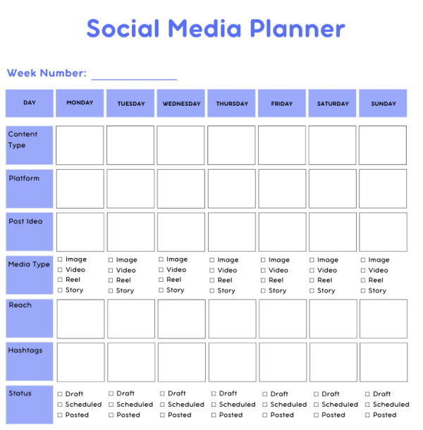 White&Sky Blue Social Media Planer